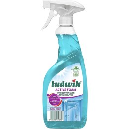 LUDWIK Pianka Ludwik 600ml do czyszczenia kabin prysznicowych