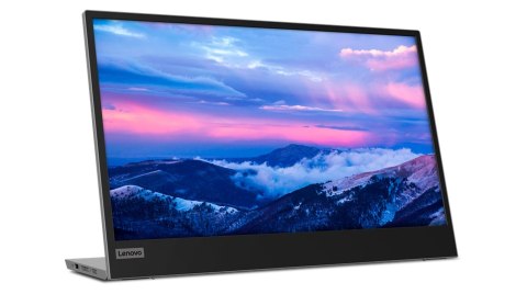 Lenovo L15 LED display 39,6 cm (15.6") 1920 x 1080 px Full HD Czarny, Szary Lenovo