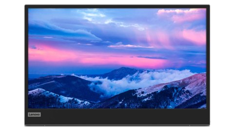 Lenovo L15 LED display 39,6 cm (15.6") 1920 x 1080 px Full HD Czarny, Szary Lenovo