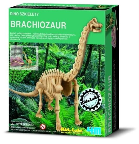 4m Wykopaliska Brachiosaurus