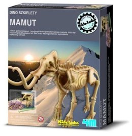 4m Wykopaliska Mamut