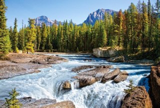 Castor Puzzle 1500 elementów Athabasca River, Jasper National Park, Canada