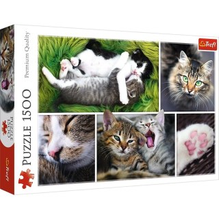 Trefl Puzzle 1500 elementów Kocie sprawy - Kolaż