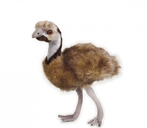 Dante Pluszak National Geographic Emu 44 cm