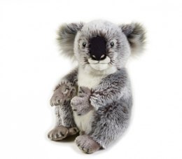 Dante Pluszak National Geographic Koala 26 cm