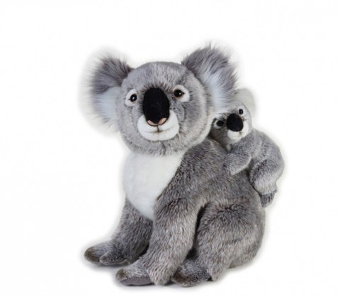 Dante Pluszak National Geographic Koala z dzieckiem 37 cm