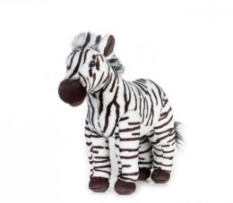 Dante Pluszak National Geographic Zebra 28 cm