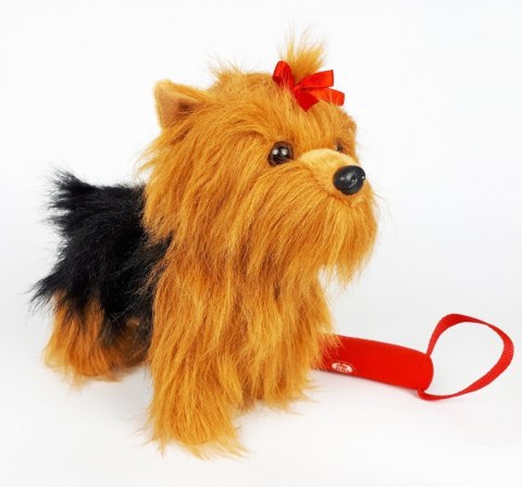 Madej Maskotka Piesek Yorkshire Terrier chodzący na smyczy 27 cm