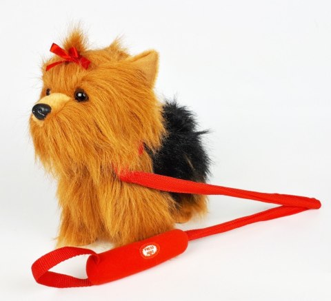 Madej Maskotka Piesek Yorkshire Terrier chodzący na smyczy 27 cm