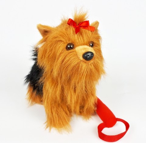 Madej Maskotka Piesek Yorkshire Terrier chodzący na smyczy 27 cm