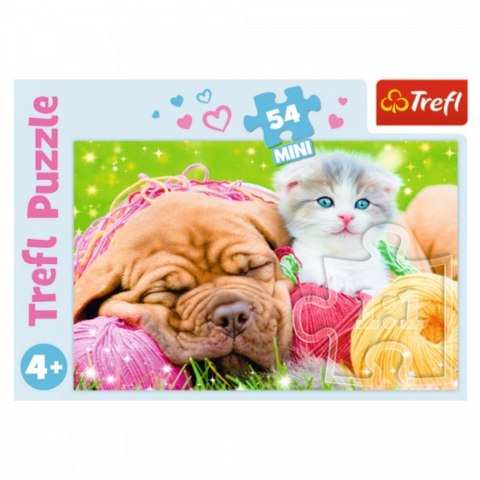 Trefl Puzzle 54 elementy Mini Urocze Pupile Display