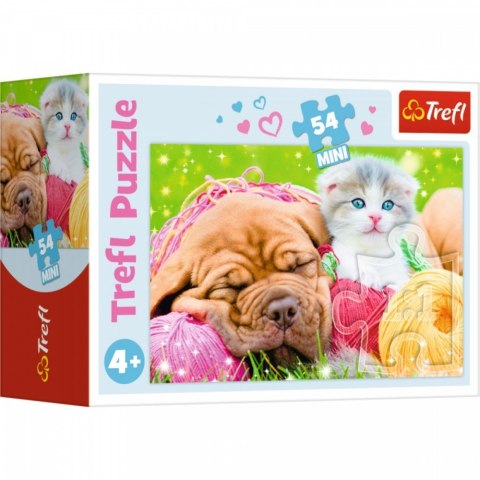 Trefl Puzzle 54 elementy Mini Urocze Pupile Display