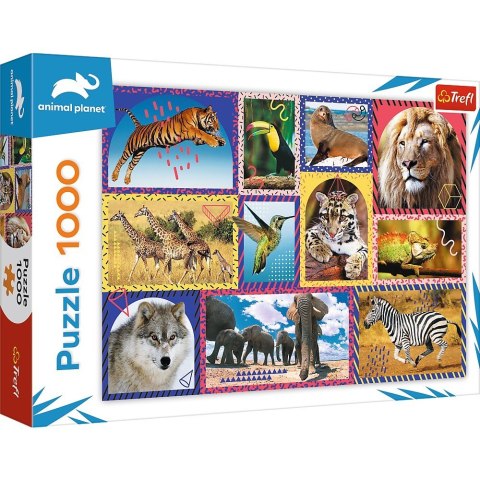 Trefl Puzzle 1000 elementów Dzika natura Animal Planet