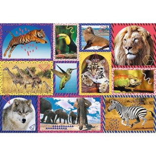 Trefl Puzzle 1000 elementów Dzika natura Animal Planet