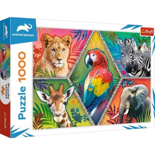 Trefl Puzzle 1000 elementów Egzotyczne zwierzęta Animal Planet