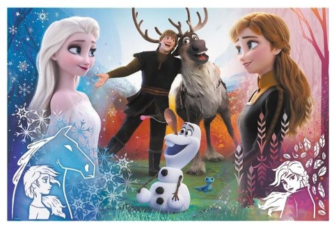 Trefl Puzzle 300 elementów Magiczny czas Frozen 2