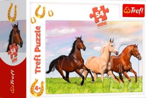 Trefl Puzzle 54 mini Świat Koni