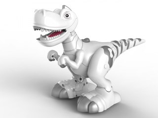 Madej Robot Dino