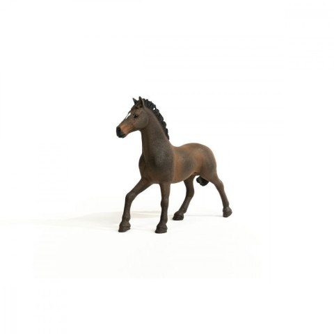 Schleich Figurka Ogier oldenburski Horse Club