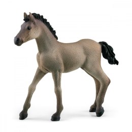 Schleich Figurka Criollo Definitivo, Źrebię