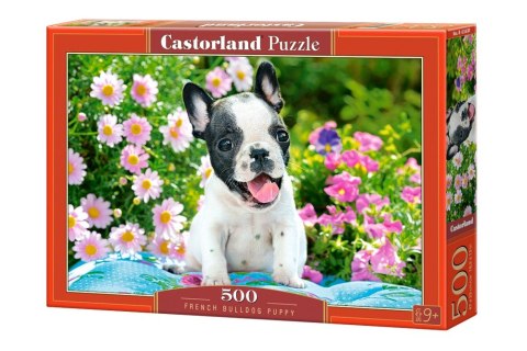 Castor Puzzle 500 elementów Pieski buldożki francuskie