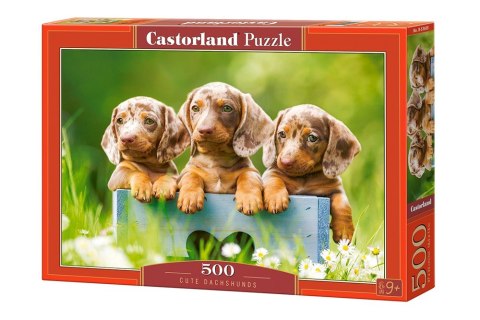 Castor Puzzle 500 elementów Pieski urocze jamniki