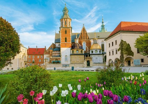 Castor Puzzle 500 elementów Wawel zamek Kraków, Polska