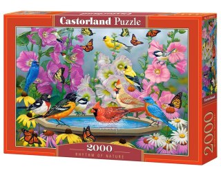 Castor Puzzle 2000 elementów Ptaki Rytm natury