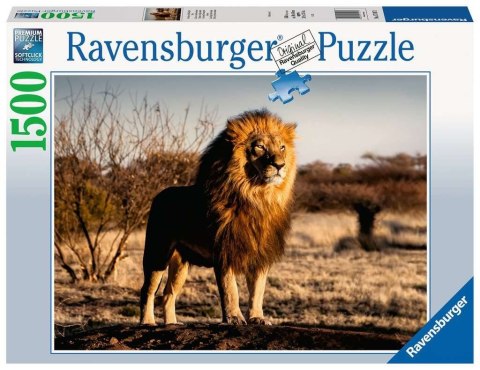 Ravensburger Polska Puzzle 1500 elementów Lew