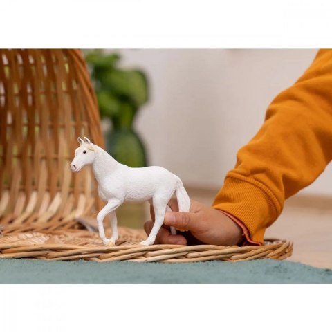 Schleich Figurka Klacz rasy camarillo Farm World