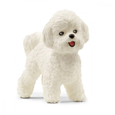 Schleich Figurka Pies Bichon Frise Farm World