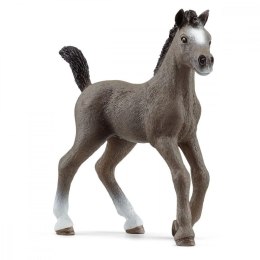 Schleich Źrebak rasy Cheval De Selle Francais