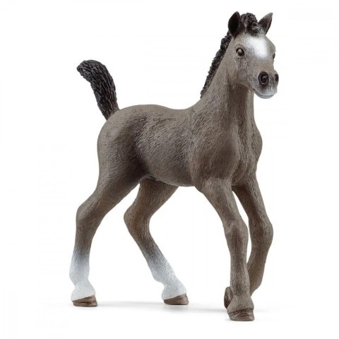 Schleich Źrebak rasy Cheval De Selle Francais