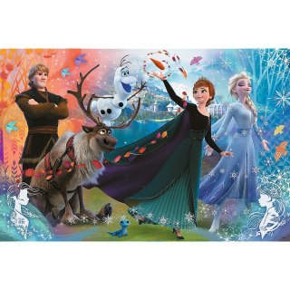 Trefl Puzzle 160 elementów XL Super Shape Odkryj świat Frozen, Kraina Lodu