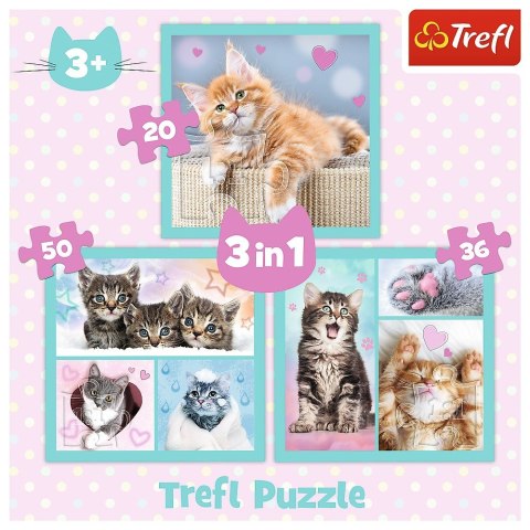 Trefl Puzzle 3w1 Słodkie zwierzaki kotki