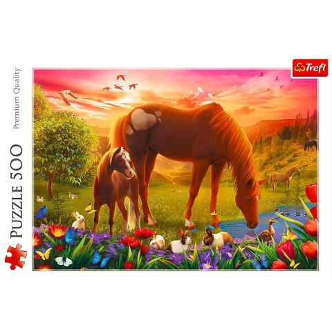 Trefl Puzzle 500 elementów Konie na łące