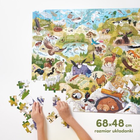 CzuCzu Puzzle Dzikie puzzle - Parki Narodowe 200 elementów