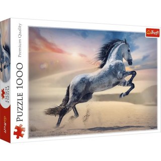 Trefl Puzzle 1000 elementów Majestatyczny koń