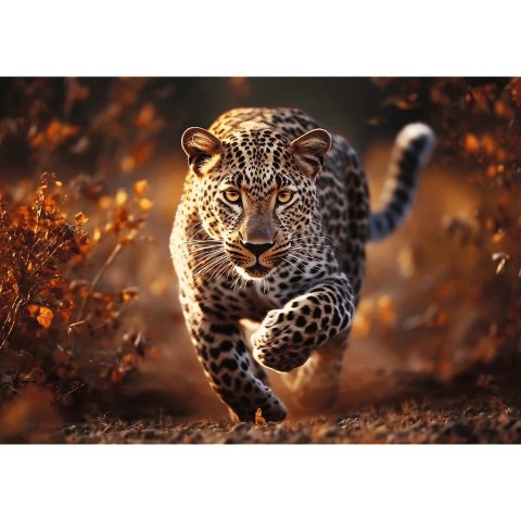 Trefl Puzzle 1000 elementów Premium Dziki Leopard