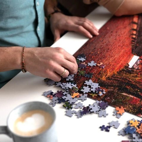 Trefl Puzzle 1000 elementów Premium Góra Fuji Japonia