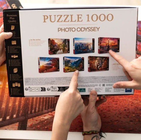 Trefl Puzzle 1000 elementów Premium Plus Most Rakotza w Kromlau Niemcy