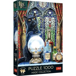 Trefl Puzzle 1000 elementów Premium Uczeń czarownicy Lisa Parker