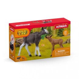 Schleich Zestaw figurek Łoś z cielęciem