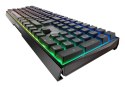 CHERRY MX 3.0S RGB klawiatura USB QWERTZ Niemiecki Czarny CHERRY