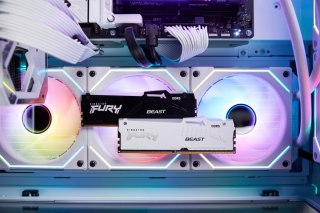 Kingston Pamięć DDR5 Fury Beast RGB 32GB(1*32GB)/6000 CL36 biała