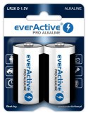 EverActive Baterie LR20/D blister 2 szt.