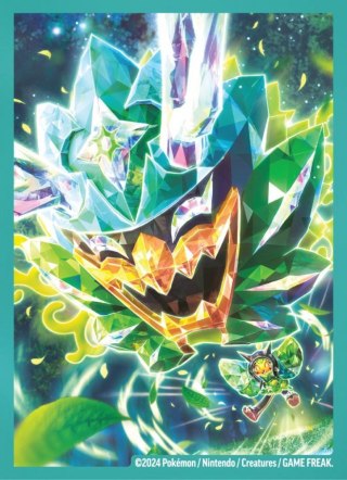 Pokemon TCG Karty Ogerpon Premium Box