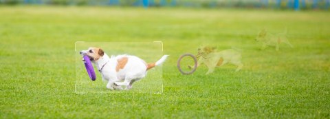 Kamera IP Imou Cruiser SC 4G 5MP IPC-K7FP-5H0TE IMOU