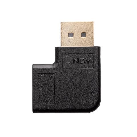 Lindy 41334 zmieniacz płci / kabli DisplayPort Czarny Lindy