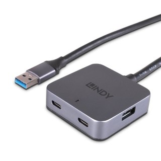 Lindy 43389 huby i koncentratory USB 3.2 Gen 1 (3.1 Gen 1) Type-A 5000 Mbit/s Czarny, Szary Lindy